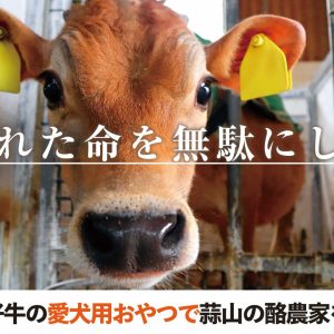 クラファン「蒜山酪農応援」
